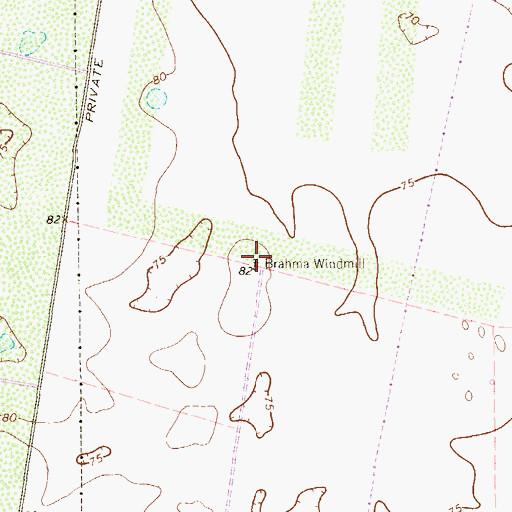 Topographic Map of Brahma Windmill, TX