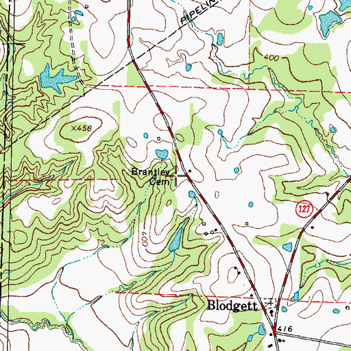Topographic Map of Brantley Cemetery, TX