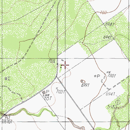Topographic Map of Brauer Ranch, TX