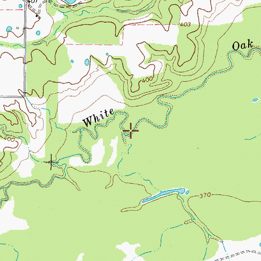 Topographic Map of Briar Branch, TX