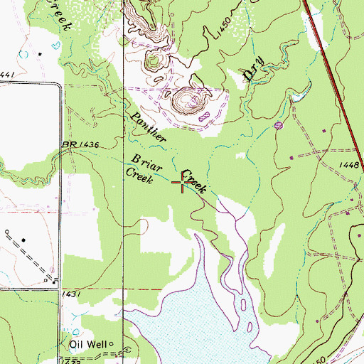 Topographic Map of Briar Creek, TX