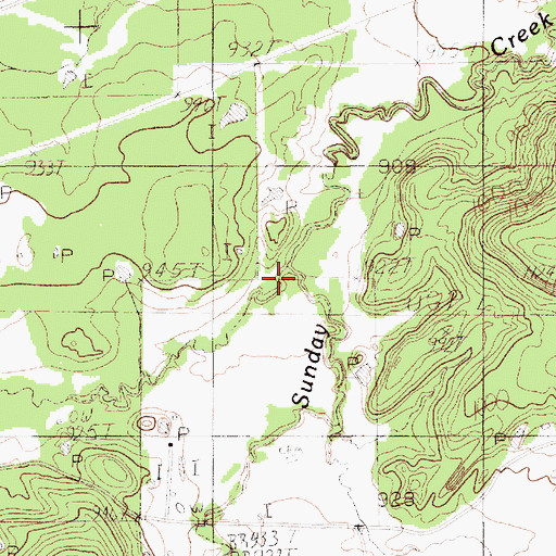 Topographic Map of Bridges Branch, TX