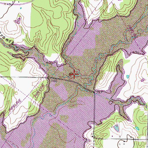 Topographic Map of Brier Branch, TX