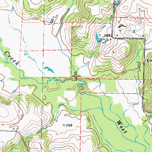 Topographic Map of Brier Branch, TX