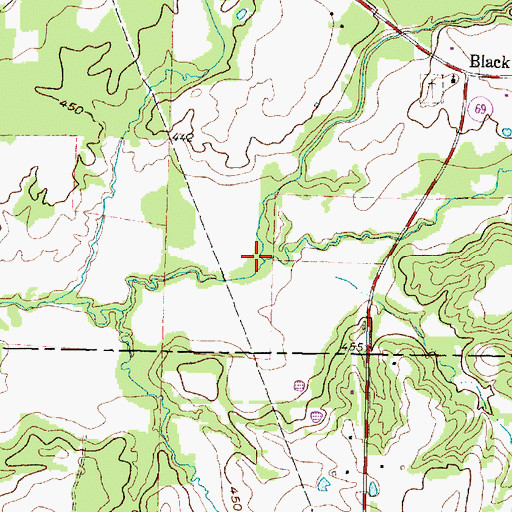 Topographic Map of Brier Branch, TX