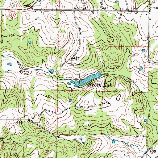 Topographic Map of Brock Lake, TX