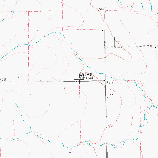 Topographic Map of Brown Chapel, TX