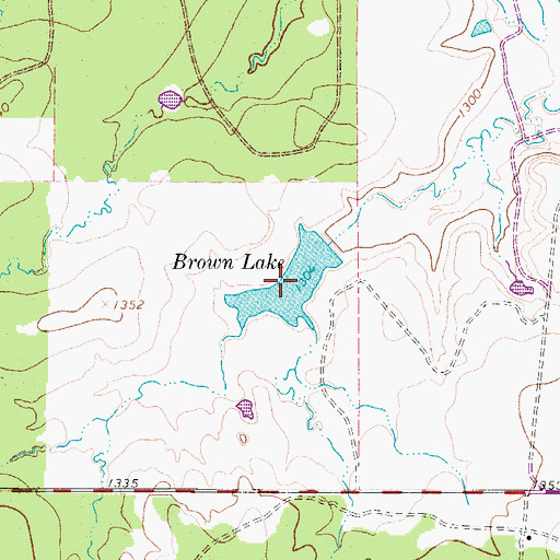 Topographic Map of Brown Lake, TX