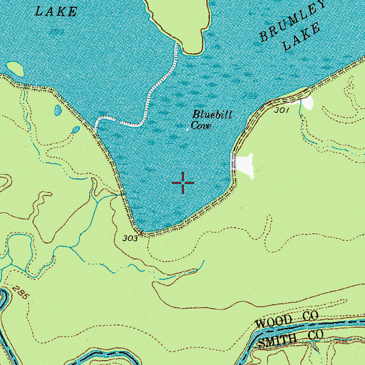 Topographic Map of Brumley Lake, TX