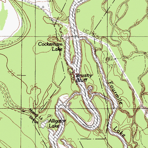 Topographic Map of Brushy Bluff, TX