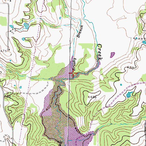 Topographic Map of Brushy Branch, TX