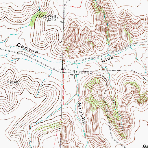 Topographic Map of Brushy Canyon, TX