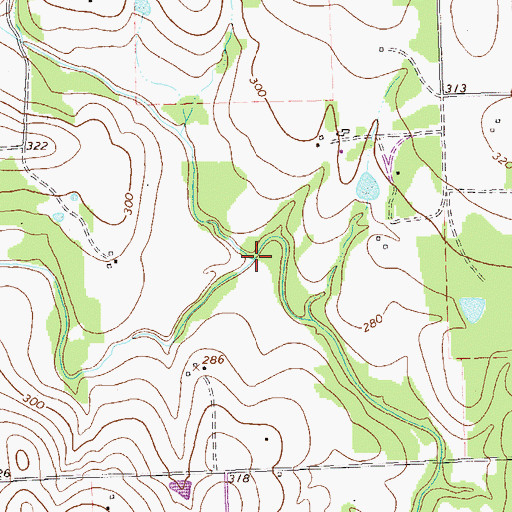 Topographic Map of Brushy Creek, TX