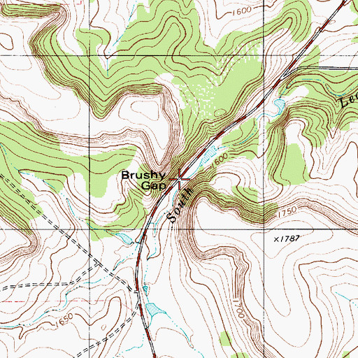 Topographic Map of Brushy Gap, TX