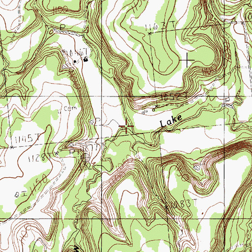 Topographic Map of Brushy Hollow, TX
