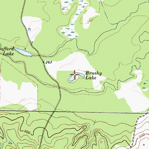 Topographic Map of Brushy Lake, TX