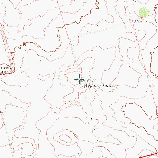Topographic Map of Brushy Lake, TX