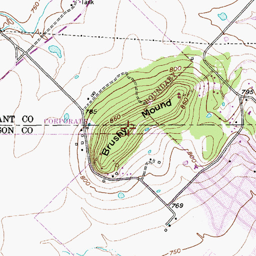 Topographic Map of Brushy Mound, TX