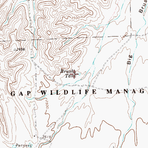 Topographic Map of Brushy Tank, TX