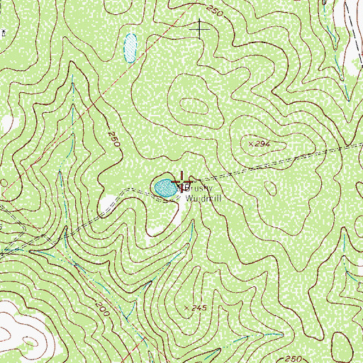 Topographic Map of Brushy Windmill, TX