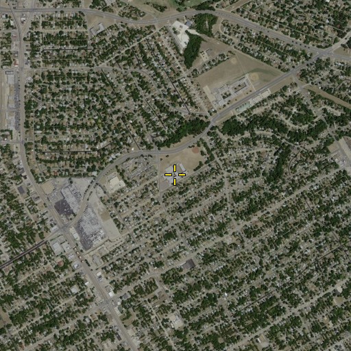 Aerial/Satellite Image of Bryan School, TX