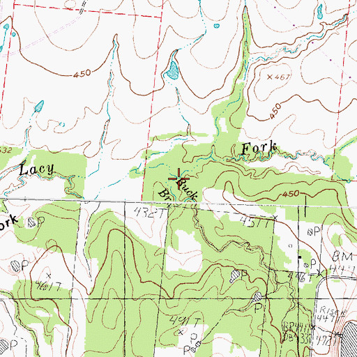 Topographic Map of Buck Branch, TX