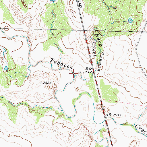Topographic Map of Buck Canyon Creek, TX