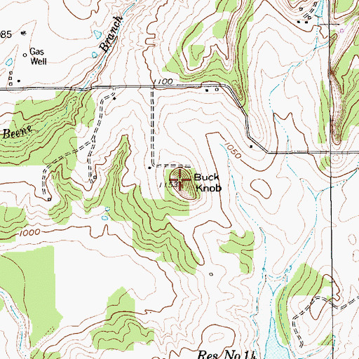 Topographic Map of Buck Knob, TX