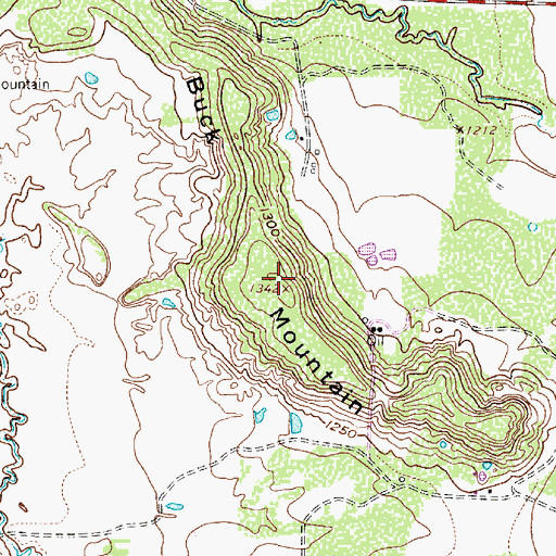 Topographic Map of Buck Mountain, TX