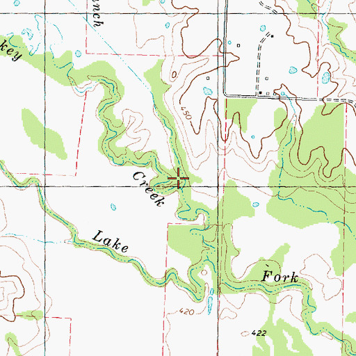 Topographic Map of Buckeye Branch, TX