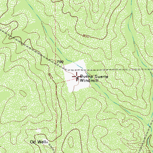 Topographic Map of Buena Suerte Windmill, TX