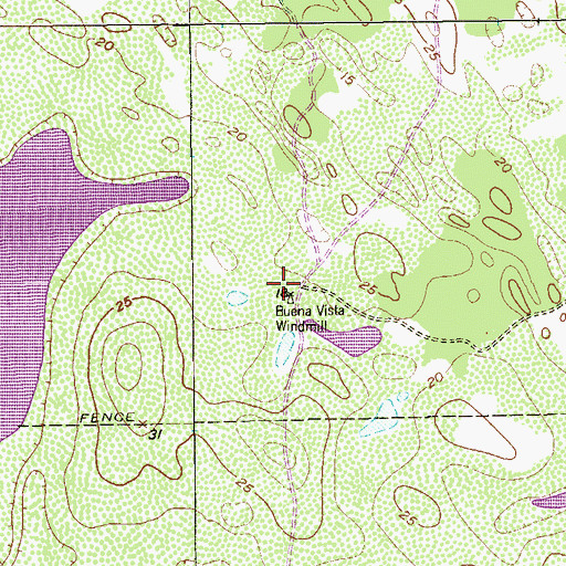 Topographic Map of Buena Vista Windmill, TX
