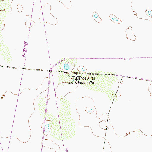 Topographic Map of Buenos Aires Artesian Well, TX
