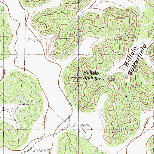 Topographic Map of Buffalo Spring, TX