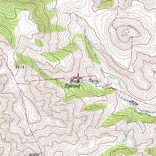 Topographic Map of Bull Spring, TX