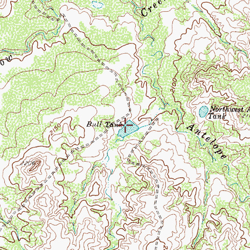 Topographic Map of Bull Tank, TX