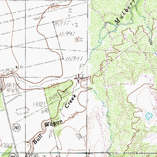 Topographic Map of Bull Wagon Creek, TX