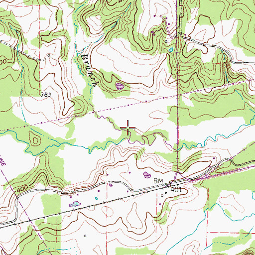 Topographic Map of Bullard Branch, TX