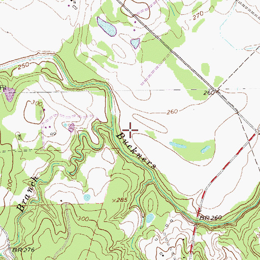 Topographic Map of Bullfrog Branch, TX