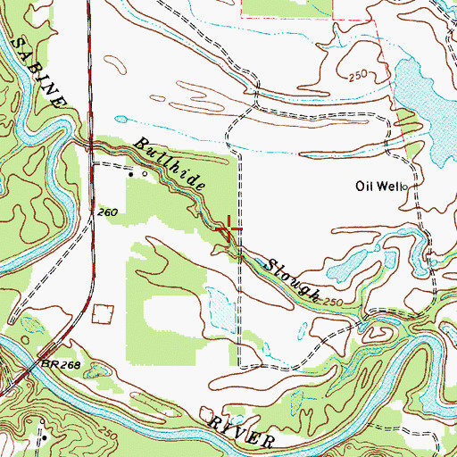Topographic Map of Bullhide Slough, TX