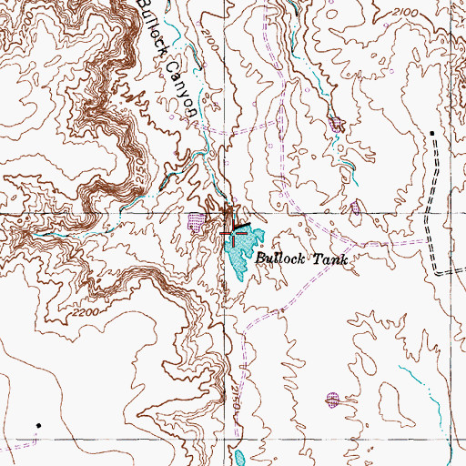 Topographic Map of Bullock Tank, TX