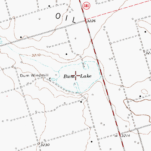 Topographic Map of Bum Lake, TX