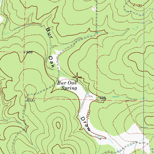 Topographic Map of Bur Oak Spring, TX