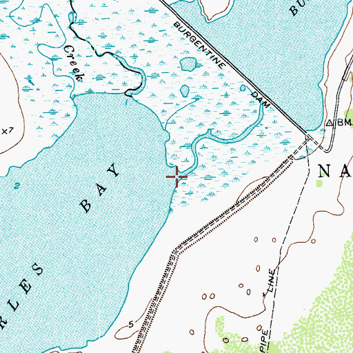 Topographic Map of Burgentine Creek, TX