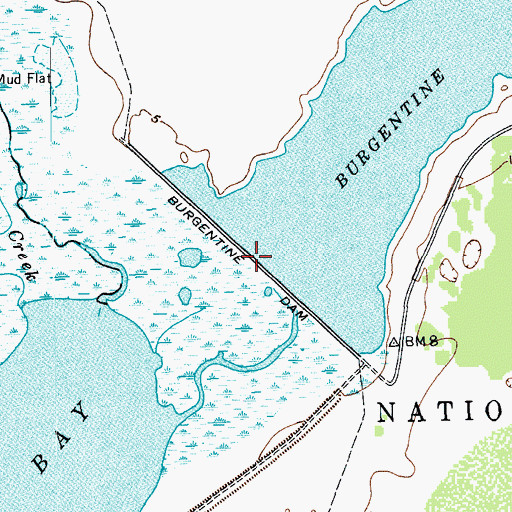 Topographic Map of Burgentine Dam, TX