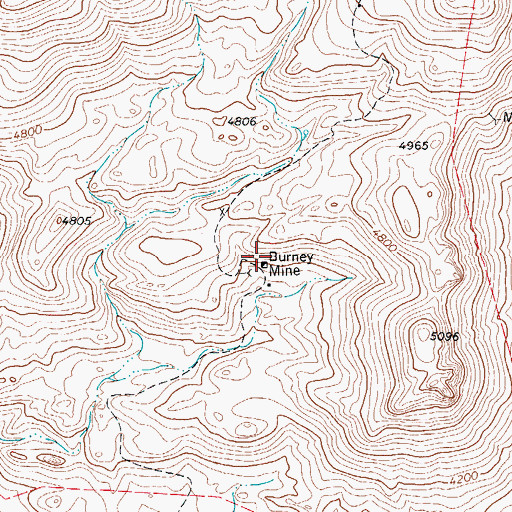 Topographic Map of Burney Mine, TX