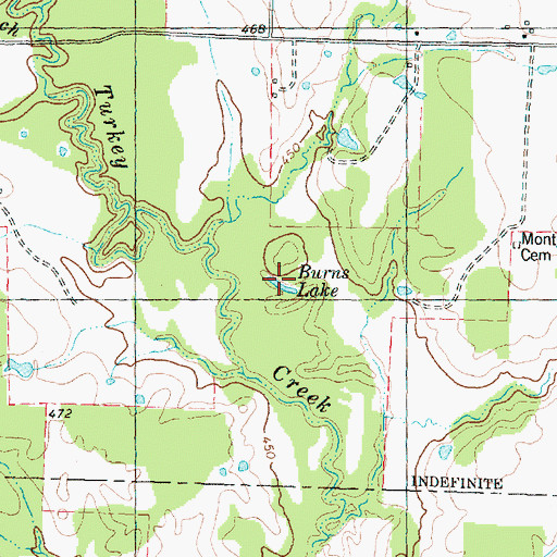 Topographic Map of Burns Lake, TX
