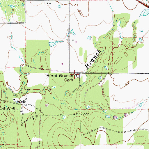 Topographic Map of Burnt Branch Cemetery, TX
