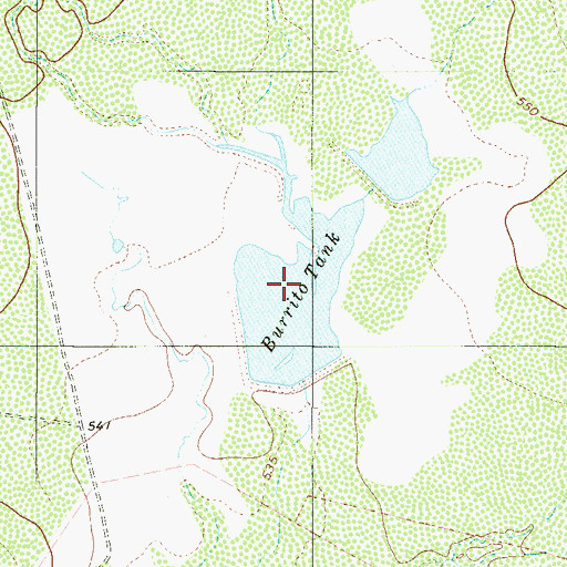 Topographic Map of Burrito Tank, TX