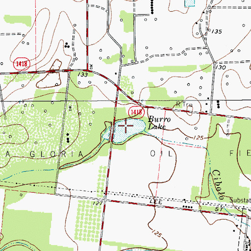 Topographic Map of Burro Lake, TX